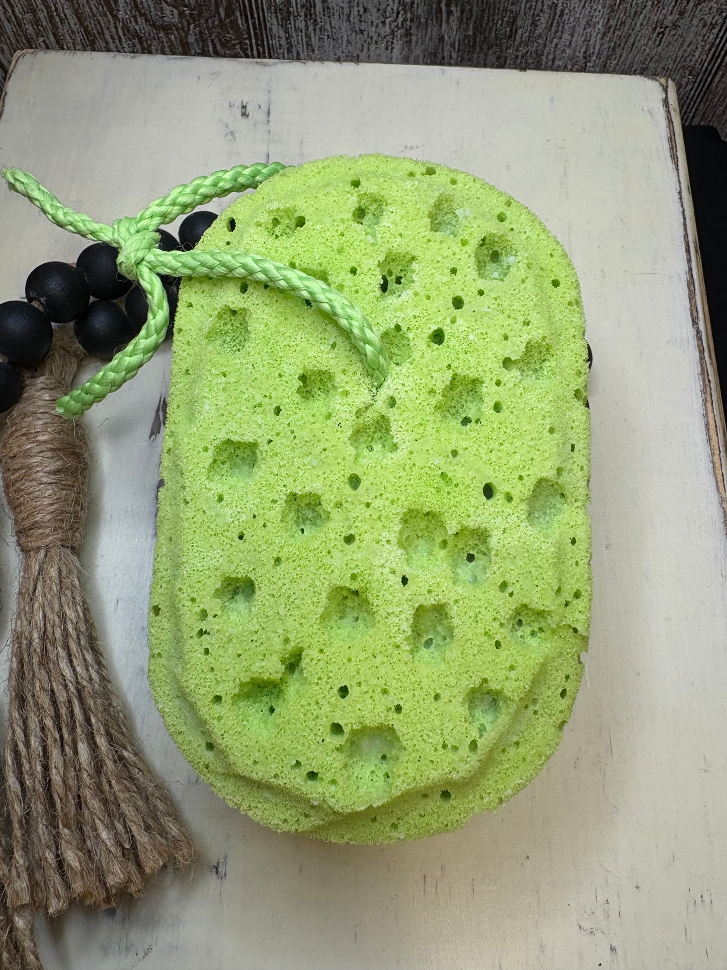 Soapy Sponge - Moss & Timber