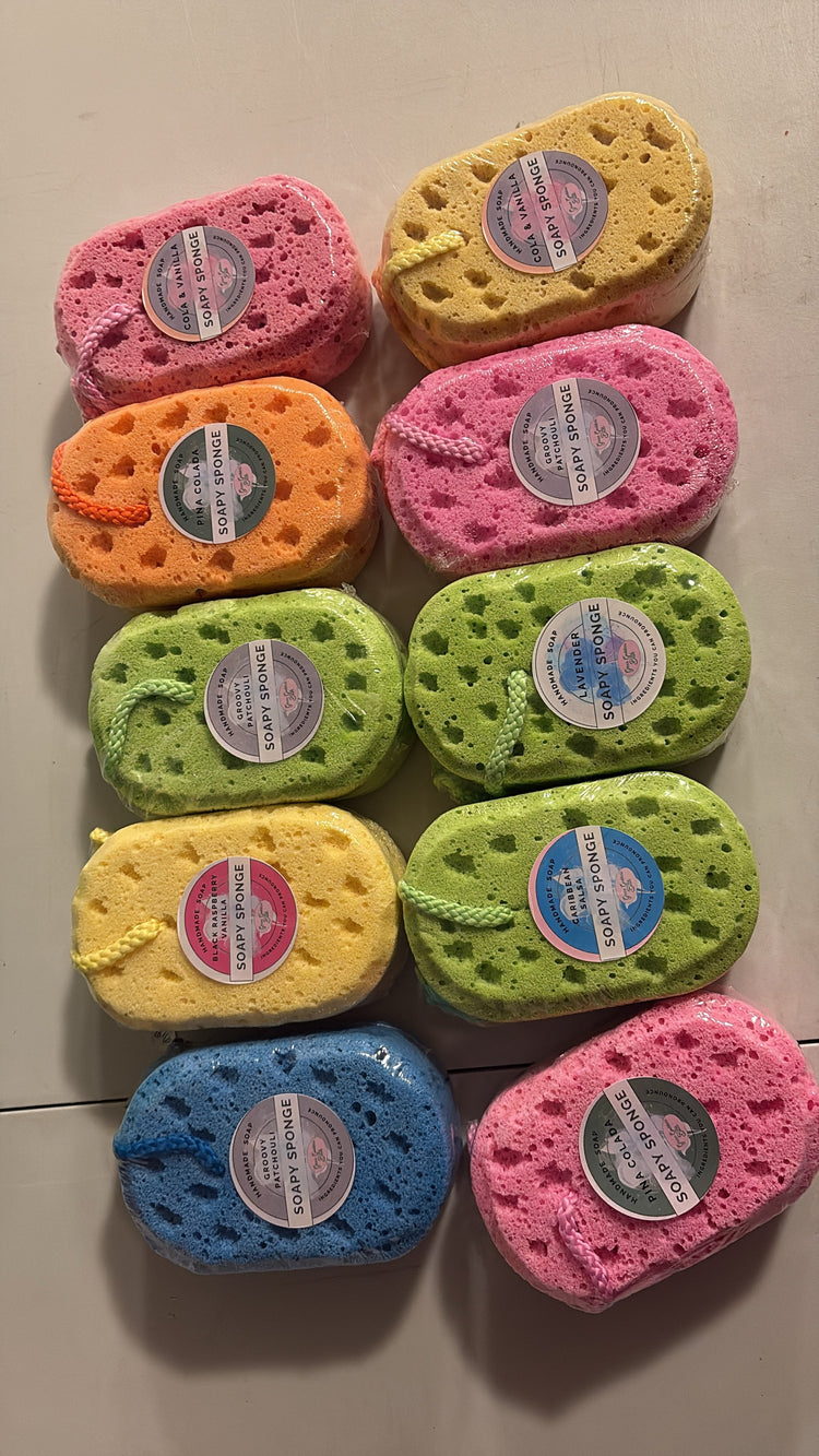 Soapy Sponges