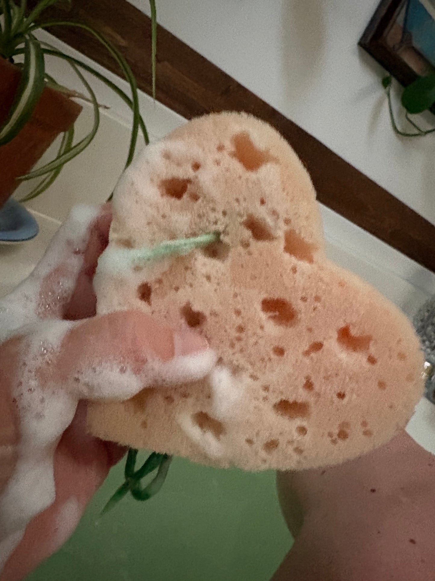 Soapy Sponge Heart - Choose your scent