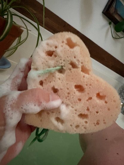 Soapy Sponge Heart - Choose your scent